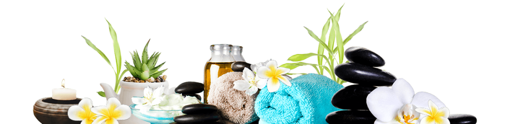 Divider Free Img 1024x250 1